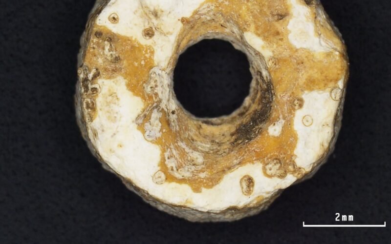 Los artesanos de la prehistoria ya elaboraban falsificaciones: las imitaciones de ámbar que lograron confundir a la ciencia