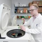 Una bacteria convierte plásticos en paracetamol