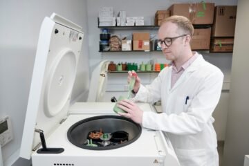 Una bacteria convierte plásticos en paracetamol