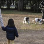 Casi la mitad de los catalanes cree que la familia y los contactos ayudan más que el talento