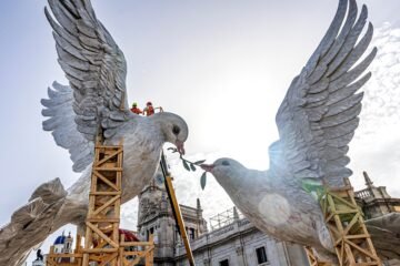 Palomas y recubrimientos