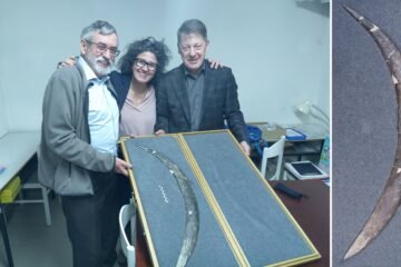 Un ‘bumerán’ tallado en un colmillo de mamut revela pensamiento simbólico complejo hace 42.000 años