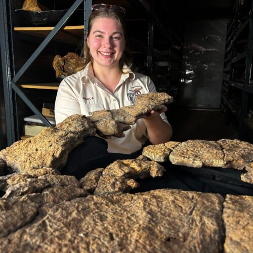 La última cena de un dinosaurio: los intestinos de un saurópodo que vivió hace 100 millones de años revelan cómo comían
