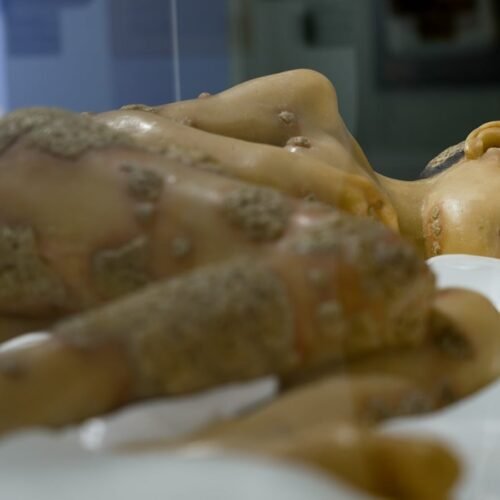 Decenas de sociedades científicas piden a la Comunidad de Madrid que impida la destrucción del Museo Olavide