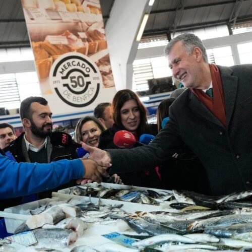 Gouveia e Melo, de almirante salvavidas de la pandemia a candidato kamikace