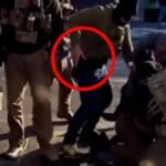 Dos agentes migratorios dispararon sus armas durante el tiroteo en el que asesinaron a Alex Pretti