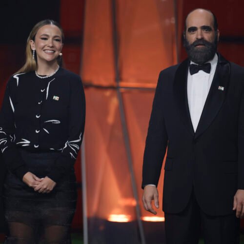 Distintos Goya, la misma turra