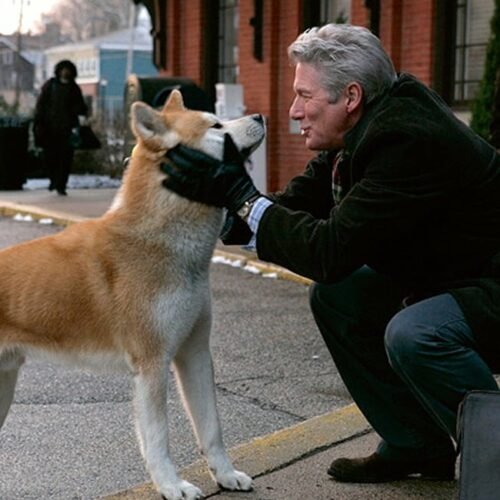 ¿Cómo afecta a perros y gatos la muerte de un ser querido? Estrés, sedentarismo o problemas de sueño