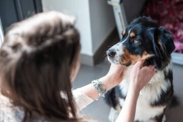 Ni exageración ni capricho: por qué separarse de la mascota genera ansiedad
