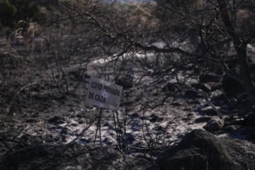 Así se deben reclamar a las aseguradoras las indemnizaciones por los daños de los incendios