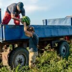 Newsletter ‘Comer’ | ¿Quién se queda el dinero de los alimentos?