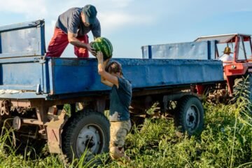 Newsletter ‘Comer’ | ¿Quién se queda el dinero de los alimentos?