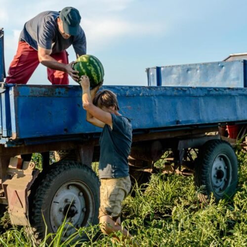 Newsletter ‘Comer’ | ¿Quién se queda el dinero de los alimentos?