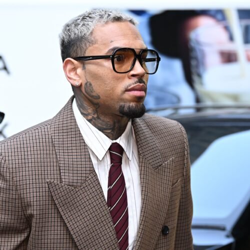 Chris Brown tendrá que pagar 13 millones de dólares por el brutal ataque de uno de sus perros a una empleada del hogar
