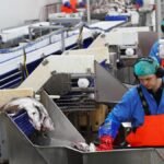 El alma pesquera de Islandia