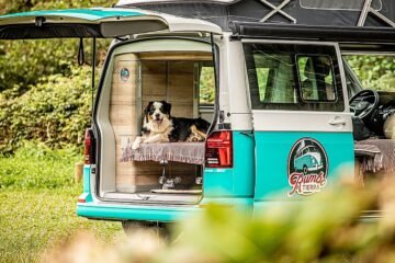 ¿Viajas con tu perro, tu pareja o tus amigos? esta app te dirá qué ruta en autocaravana te conviene