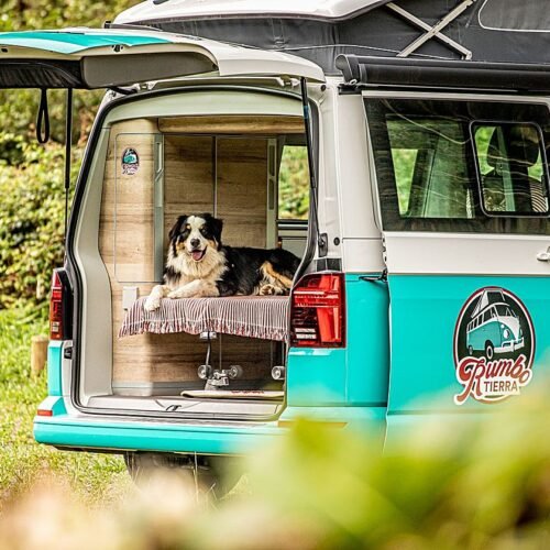 ¿Viajas con tu perro, tu pareja o tus amigos? esta app te dirá qué ruta en autocaravana te conviene