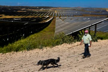 La fotovoltaica lanza un SOS al Gobierno y reclama un programa millonario de créditos ICO para evitar el colapso