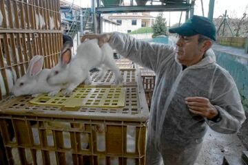 La guerra de la carne amenaza con desatar una huelga general en noviembre ante la falta de acuerdo